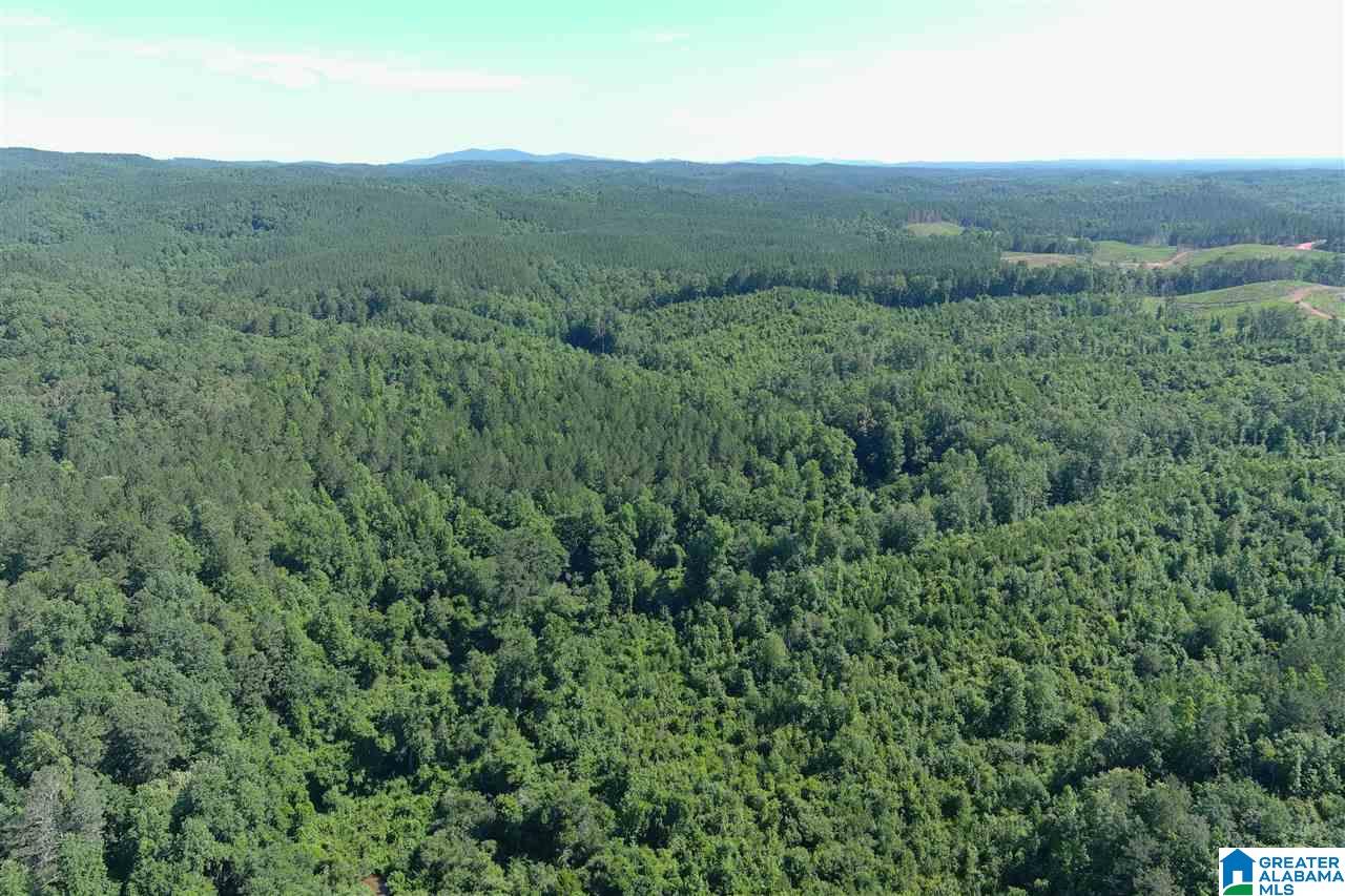 0 County Road 61, Unit 366 92 ACRES Fruithurst, AL 36262 - Photo 4 of 26