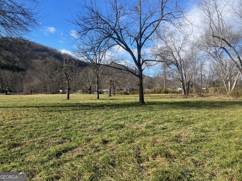 0 Riverside Meadow Drive Hiawassee, GA 30546 - Photo 12 of 22