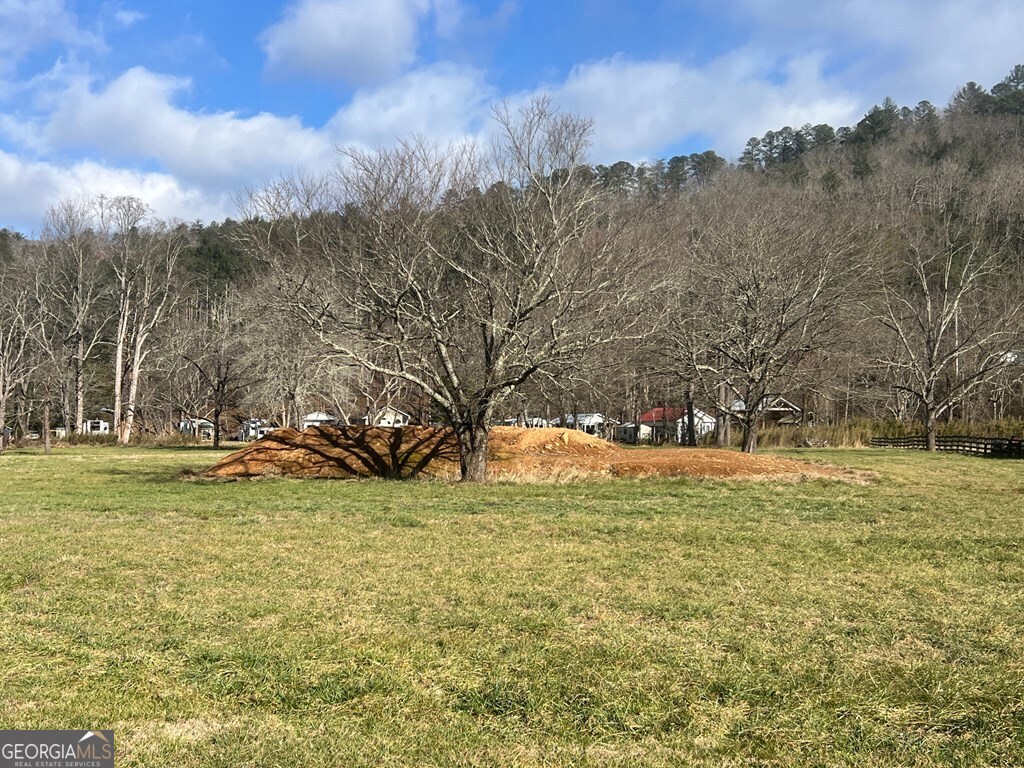 0 Riverside Meadow Drive Hiawassee, GA 30546 - Photo 21 of 22