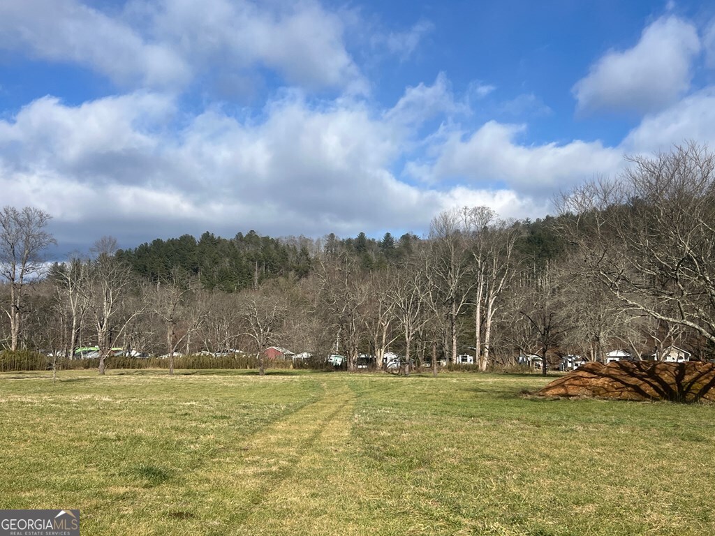 0 Riverside Meadow Drive Hiawassee, GA 30546 - Photo 22 of 22