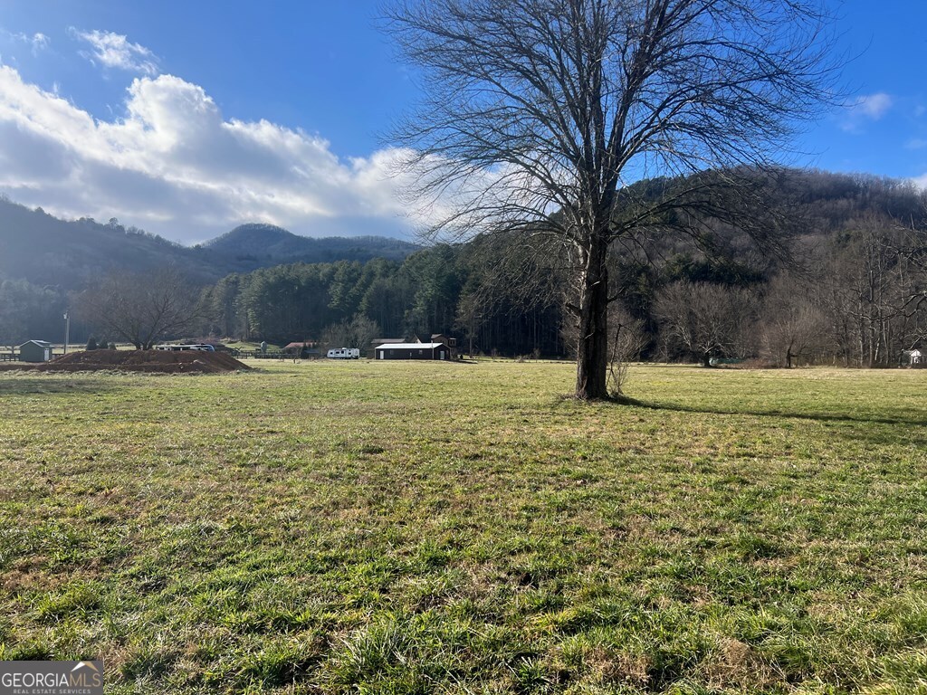 0 Riverside Meadow Drive Hiawassee, GA 30546 - Photo 4 of 22