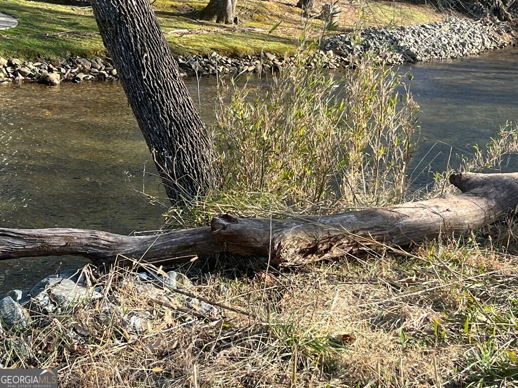 0 Riverside Meadow Drive Hiawassee, GA 30546 - Photo 7 of 22