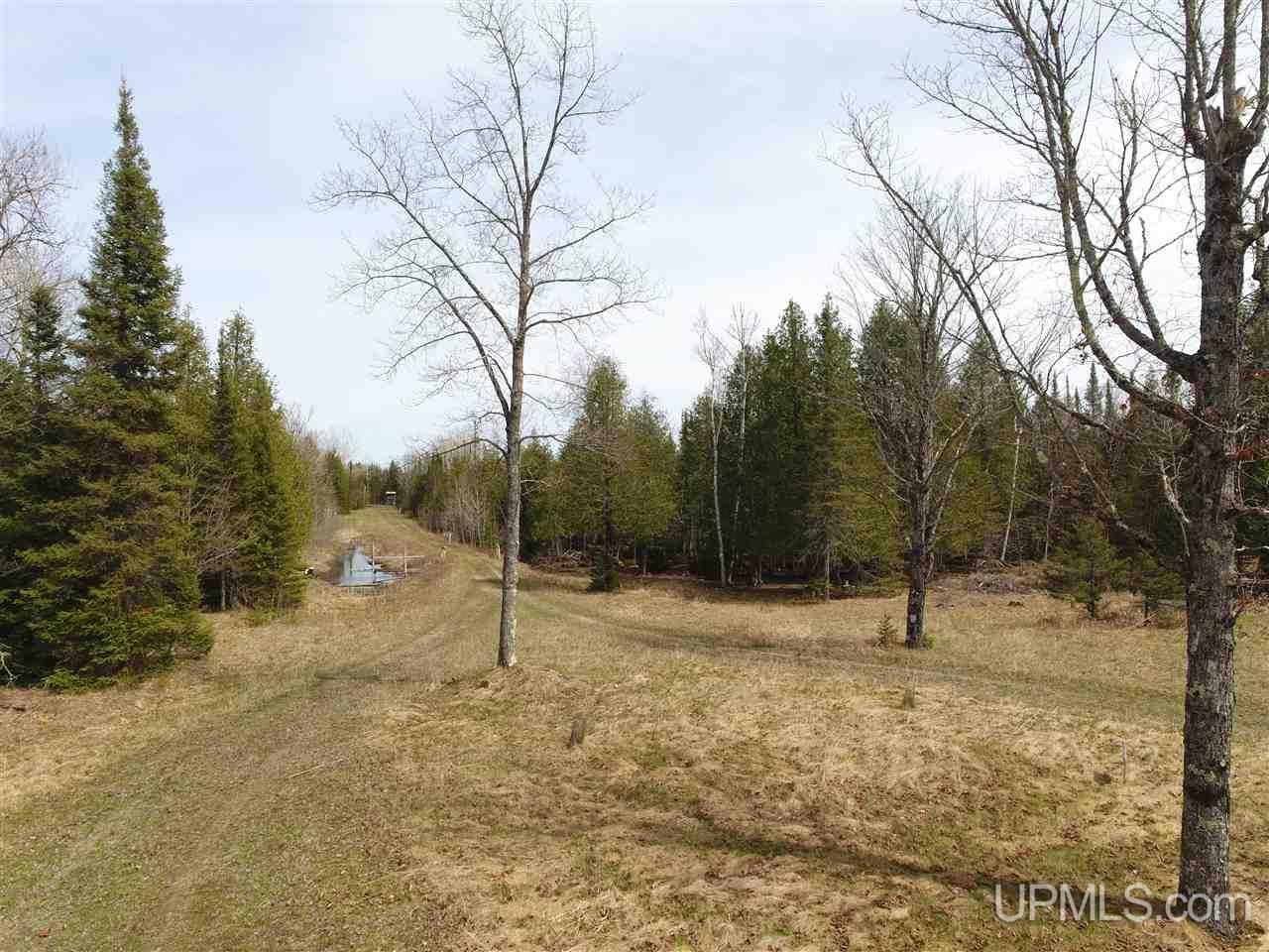 3315 Co Road Cornell, MI 49818 - Photo 2 of 50