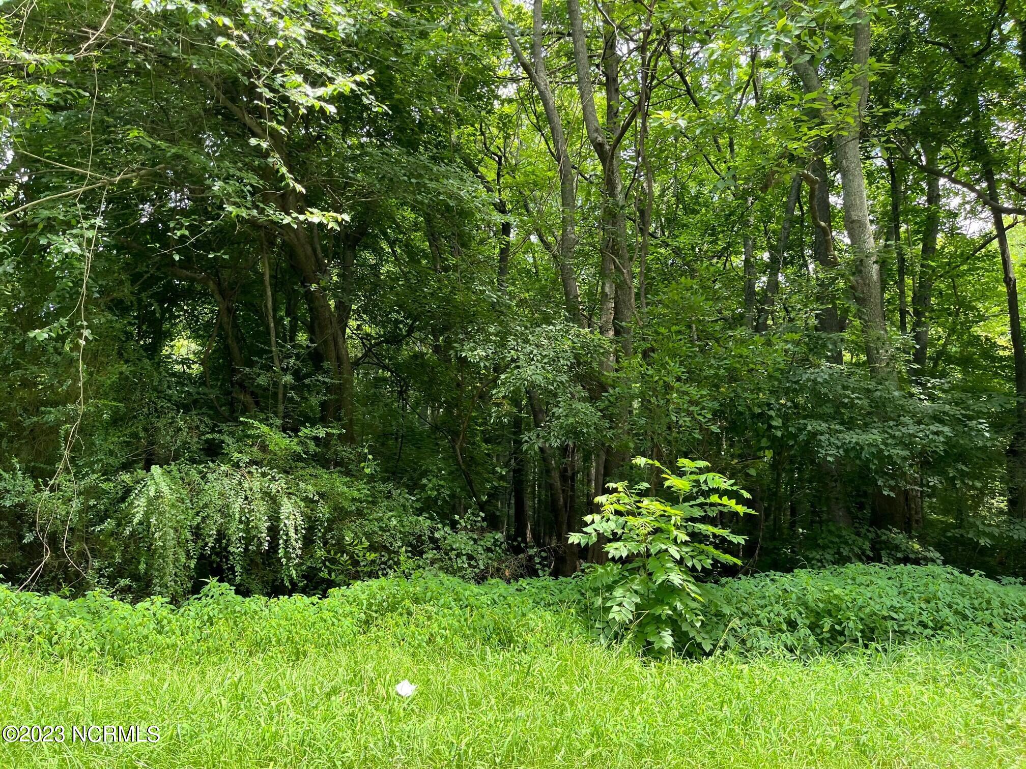 0 Florida Road Elizabeth City, NC 27909 - Photo 1 of 3 main