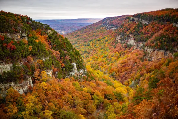 $389,900 | 92 D Founding Way, Unit 20, Lookout Mountain, GA 30750