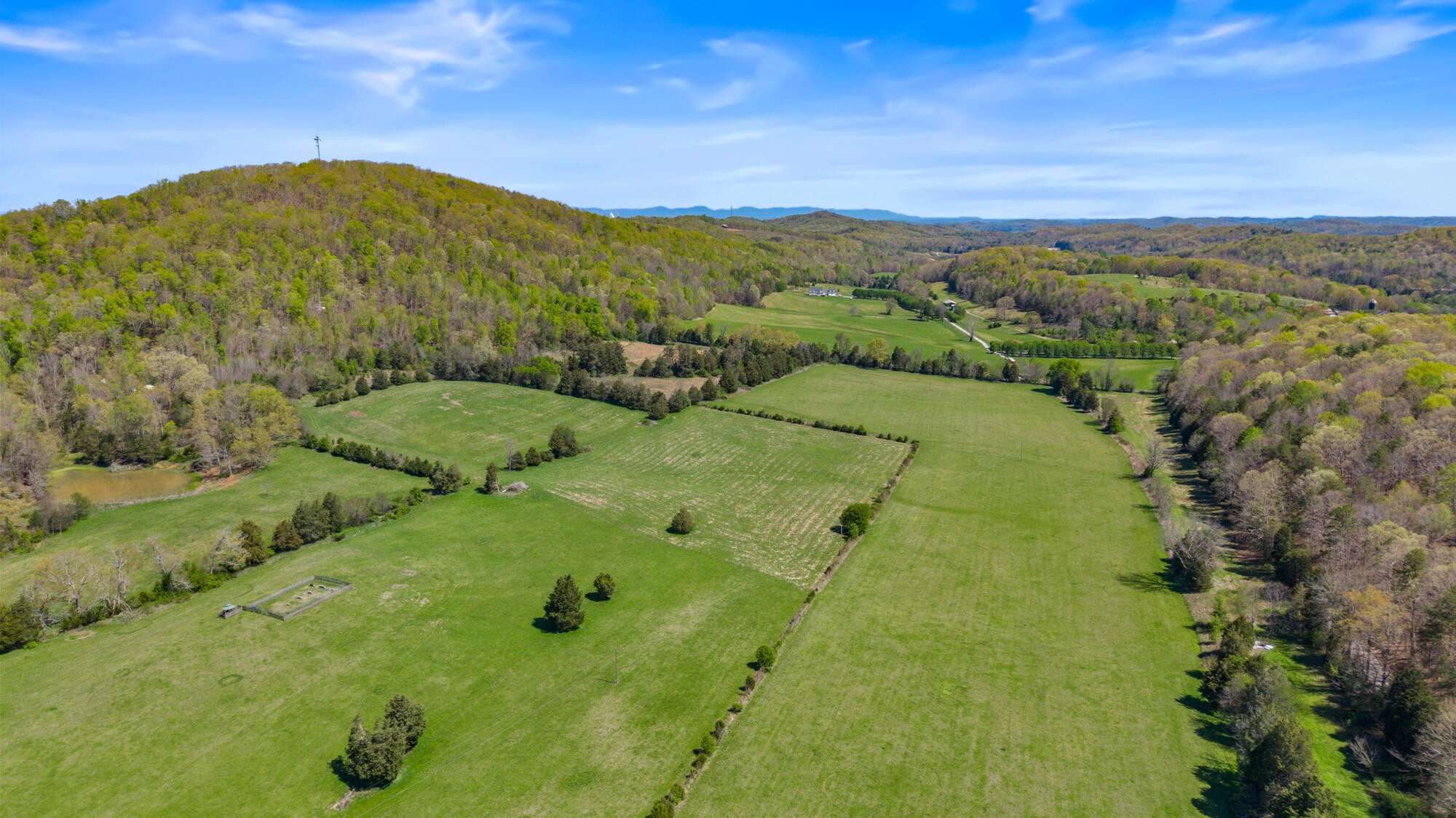 0 Dogtown Road Ten Mile, TN 37880 - Photo 8 of 9