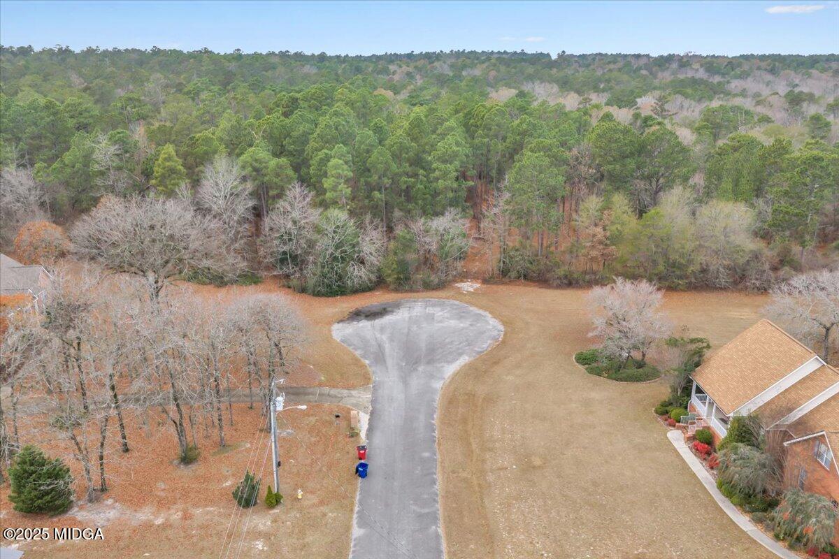 5397 Mt Pleasant Church Road, Unit PARCEL 1 Macon, GA 31216 - Photo 9 of 11 a view of a backyard of a house with a mountain