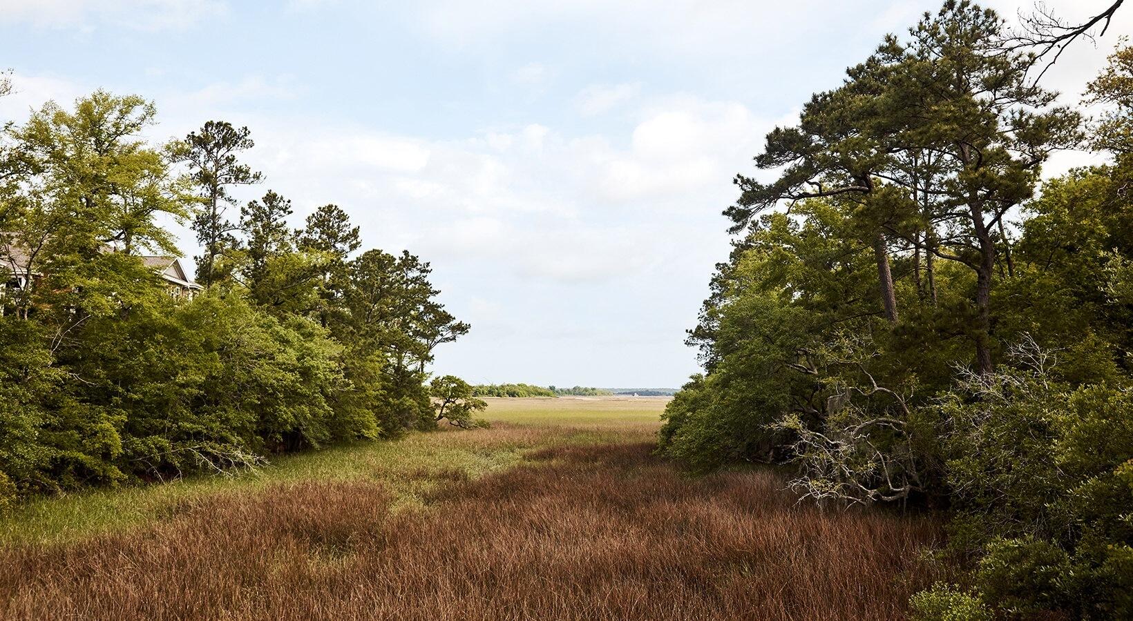 650 Enterprise Boulevard, Unit FIELD PEA Charleston, SC 29492 - Photo 16 of 38 cooperriver_0037-03cfbcb3666e4c38c6b9ea4