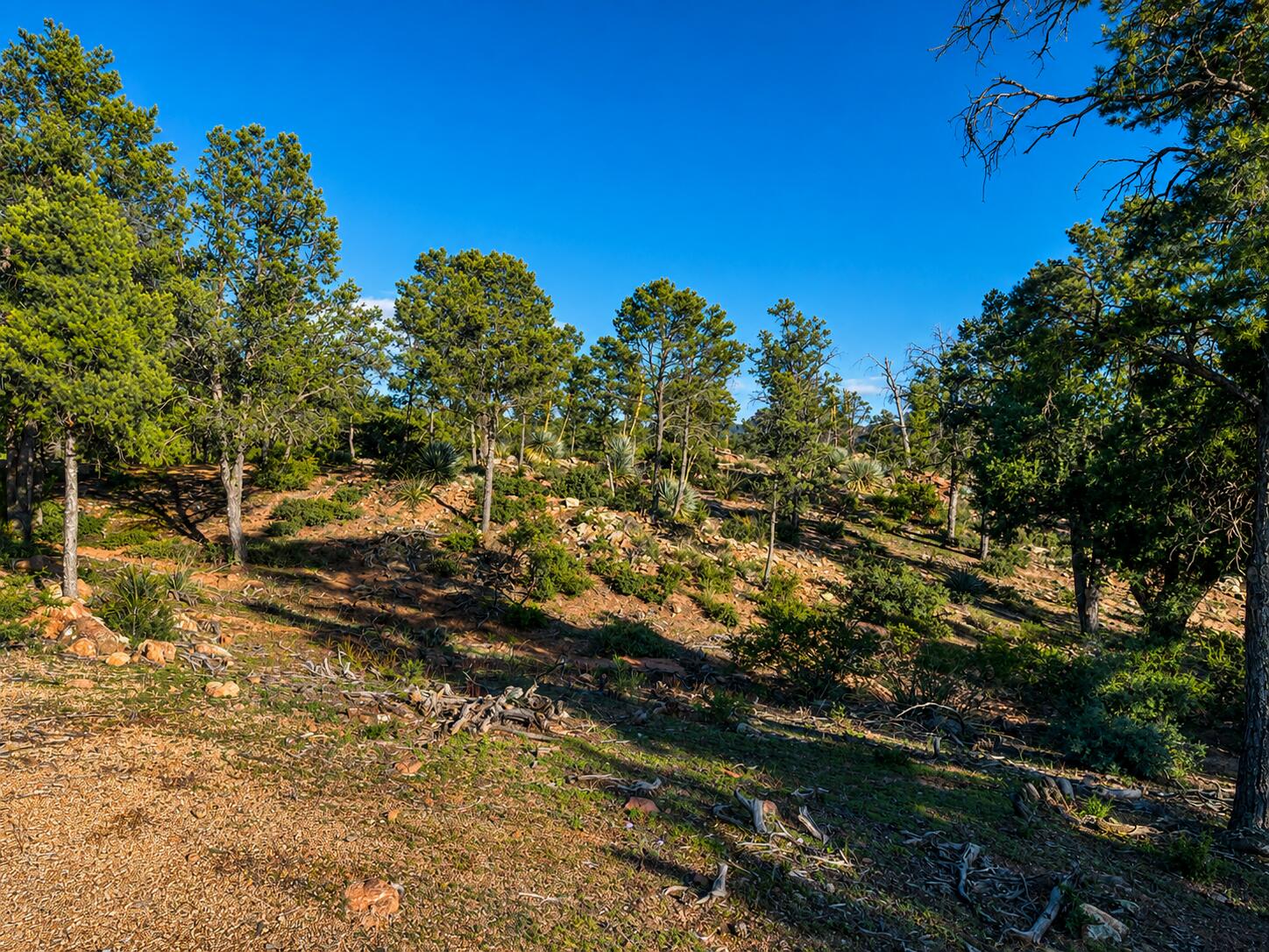 701 North Graham Ranch Road Payson, AZ 85541 - Photo 11 of 18 Gallery Image 11