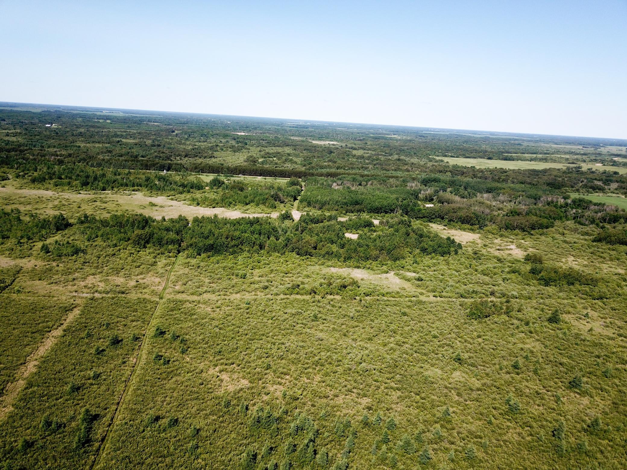 Tbd 440th Avenue Roseau, MN 56751 - Photo 15 of 80