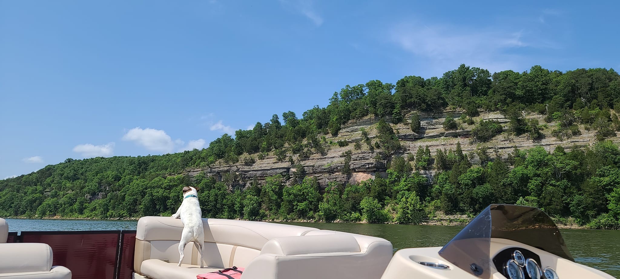 2427 Hardin Bottom River Road Clifton, TN 38425 - Photo 29 of 30 a view of a white house with a yard and sitting area