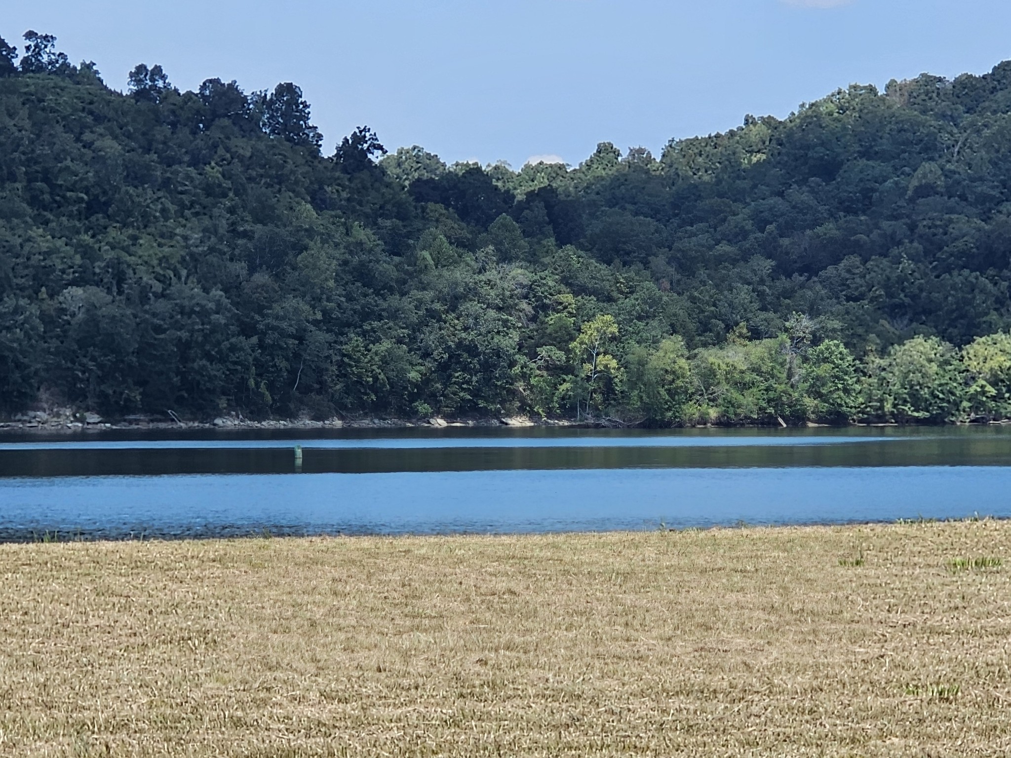 2427 Hardin Bottom River Road Clifton, TN 38425 - Photo 3 of 30 a view of a yard