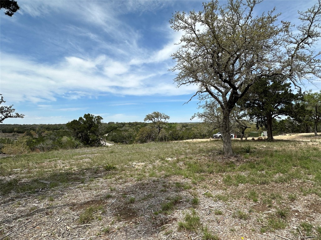 a view of a field with trees