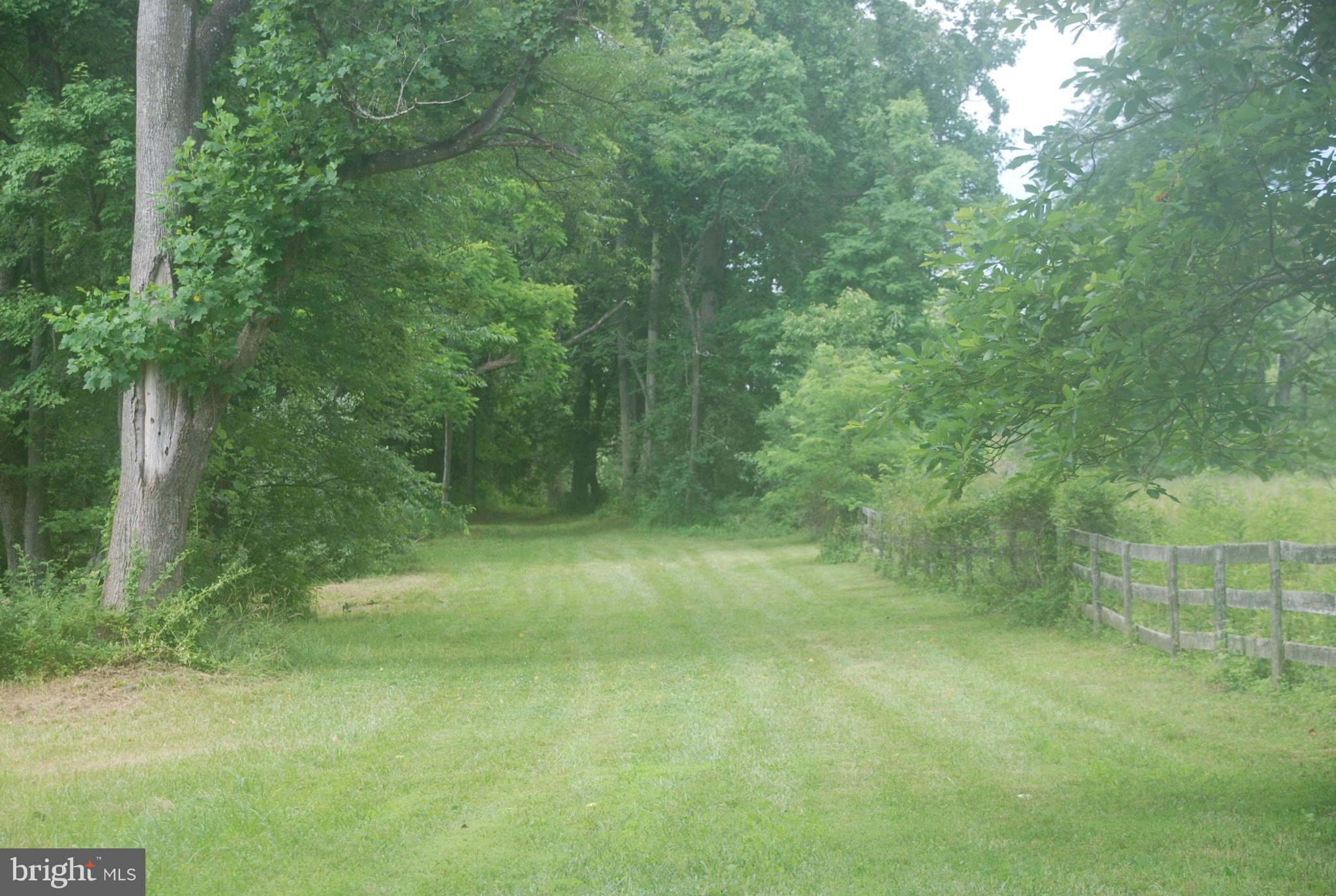 Private, wooded and open