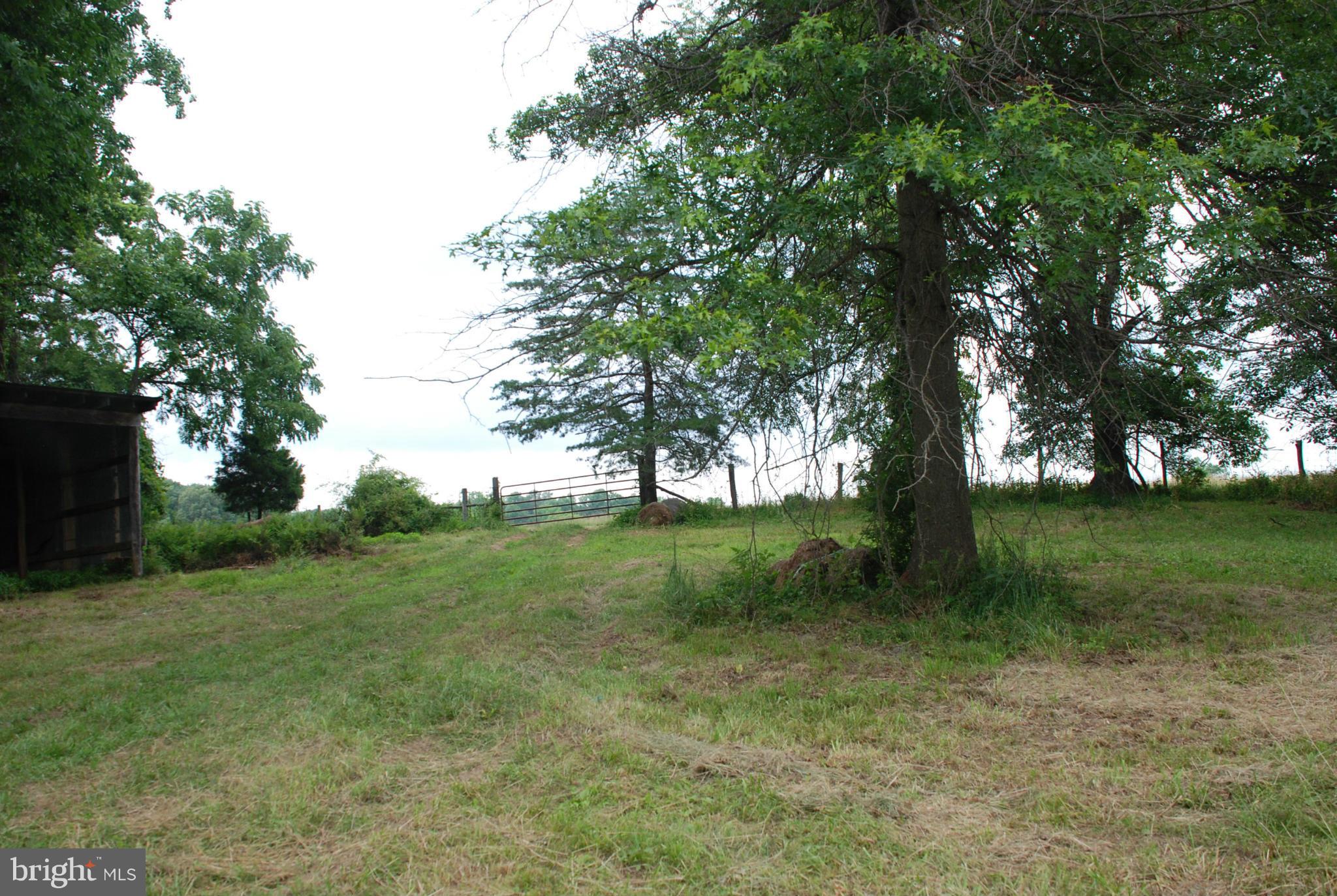 0 Tail Race Road Aldie, VA 20105 - Photo 10 of 11 Shed on the property