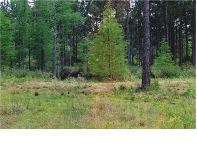 573 South Suttles Road DeFuniak Springs, FL 32433 - Photo 2 of 3 Additional Photo