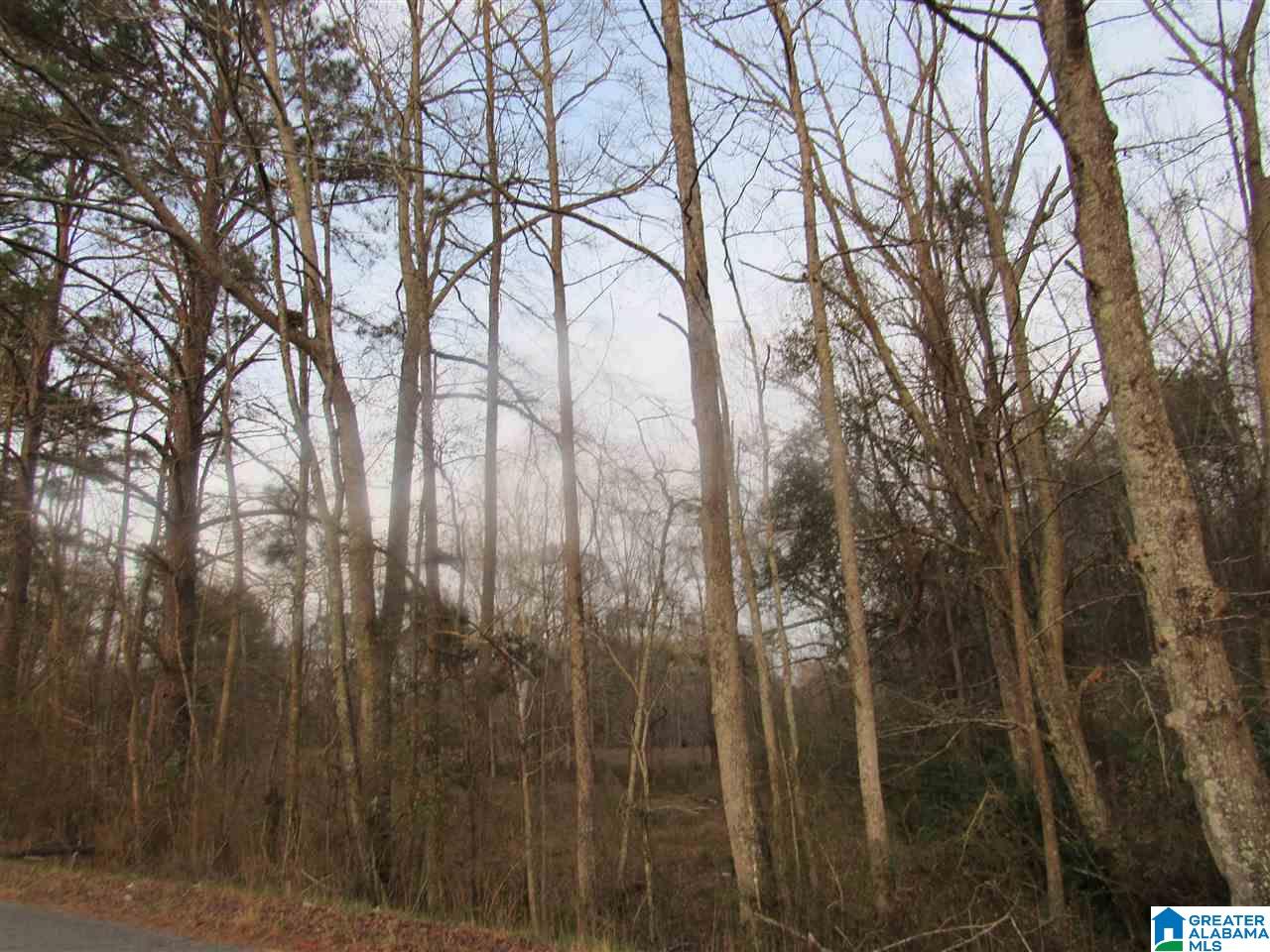 0 County Road 85, Unit 1 Clanton, AL 35045 - Photo 3 of 3