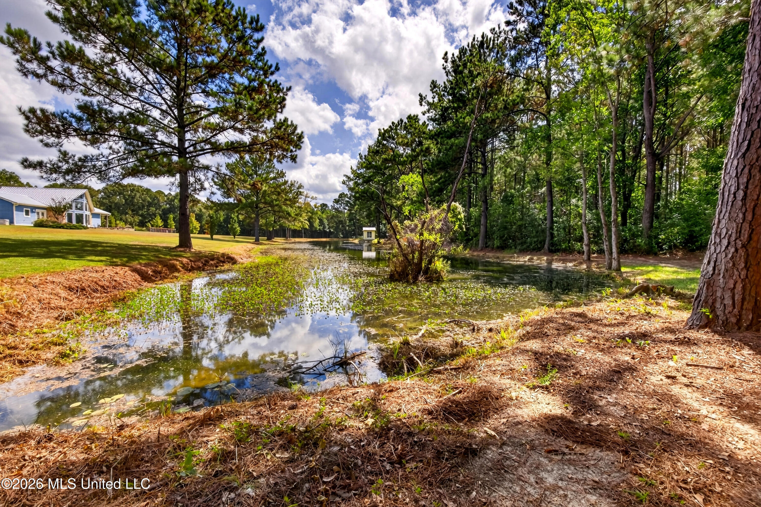 75 3 Oaks Road Perkinston, MS 39573 - Photo 9 of 82 75ThreeOaksRd.-9
