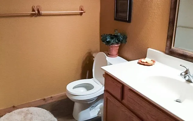 a bathroom with a sink and a toilet