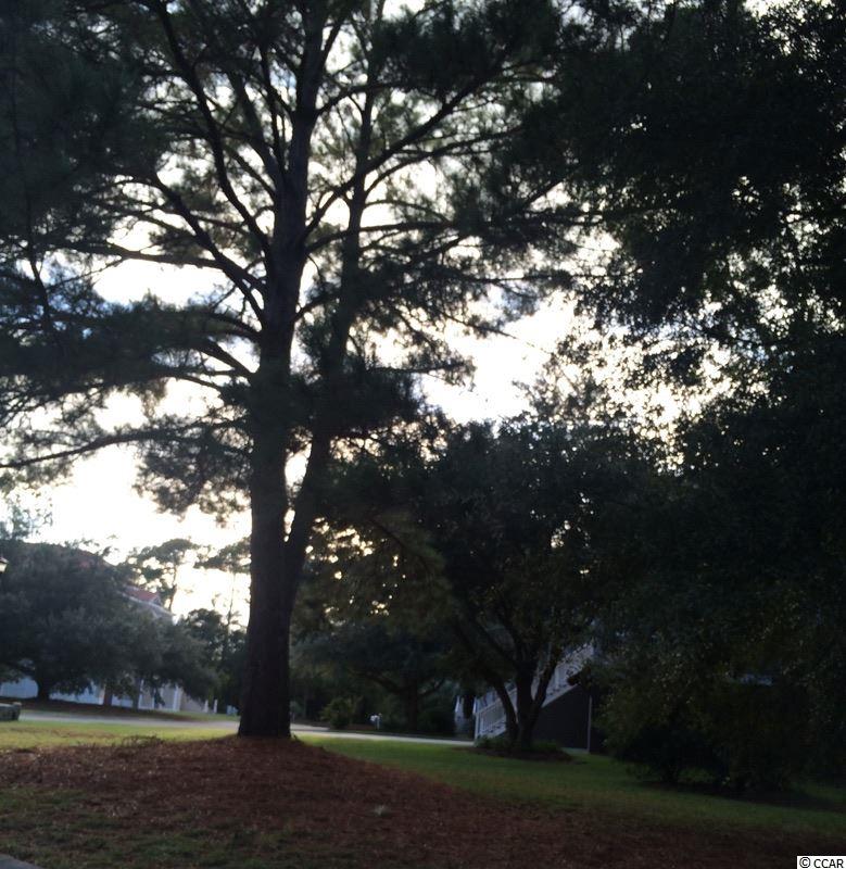 3 Gasparilla Drive Murrells Inlet, SC 29576 - Photo 2 of 6