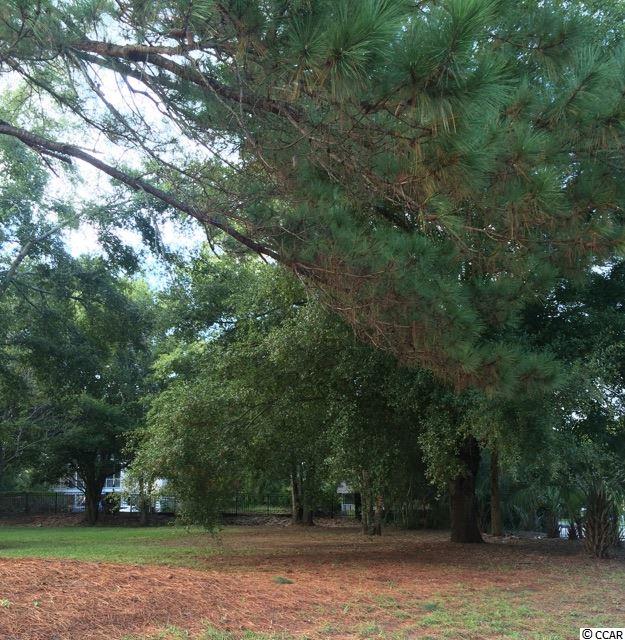 3 Gasparilla Drive Murrells Inlet, SC 29576 - Photo 3 of 6