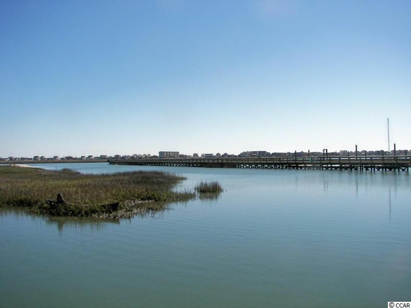3 Gasparilla Drive Murrells Inlet, SC 29576 - Photo 5 of 6