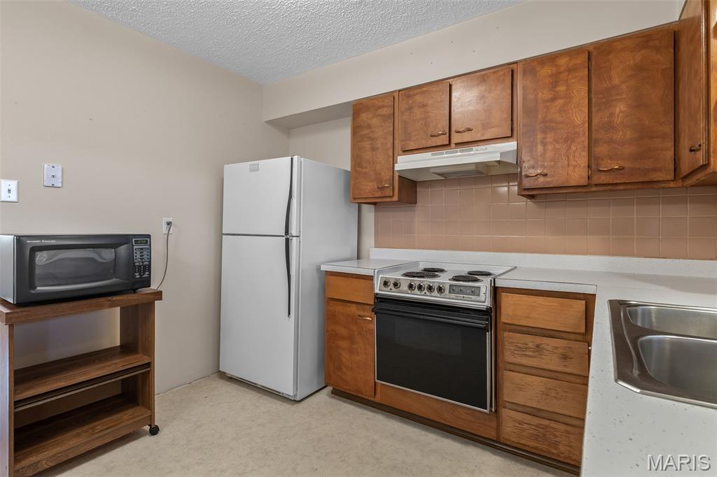 2917 Raw Wind Drive High Ridge, MO 63049 - Photo 11 of 36