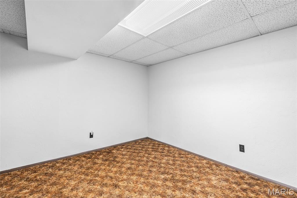 2917 Raw Wind Drive High Ridge, MO 63049 - Photo 23 of 36