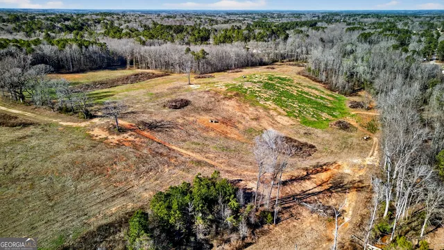 a view of a dry yard with trees