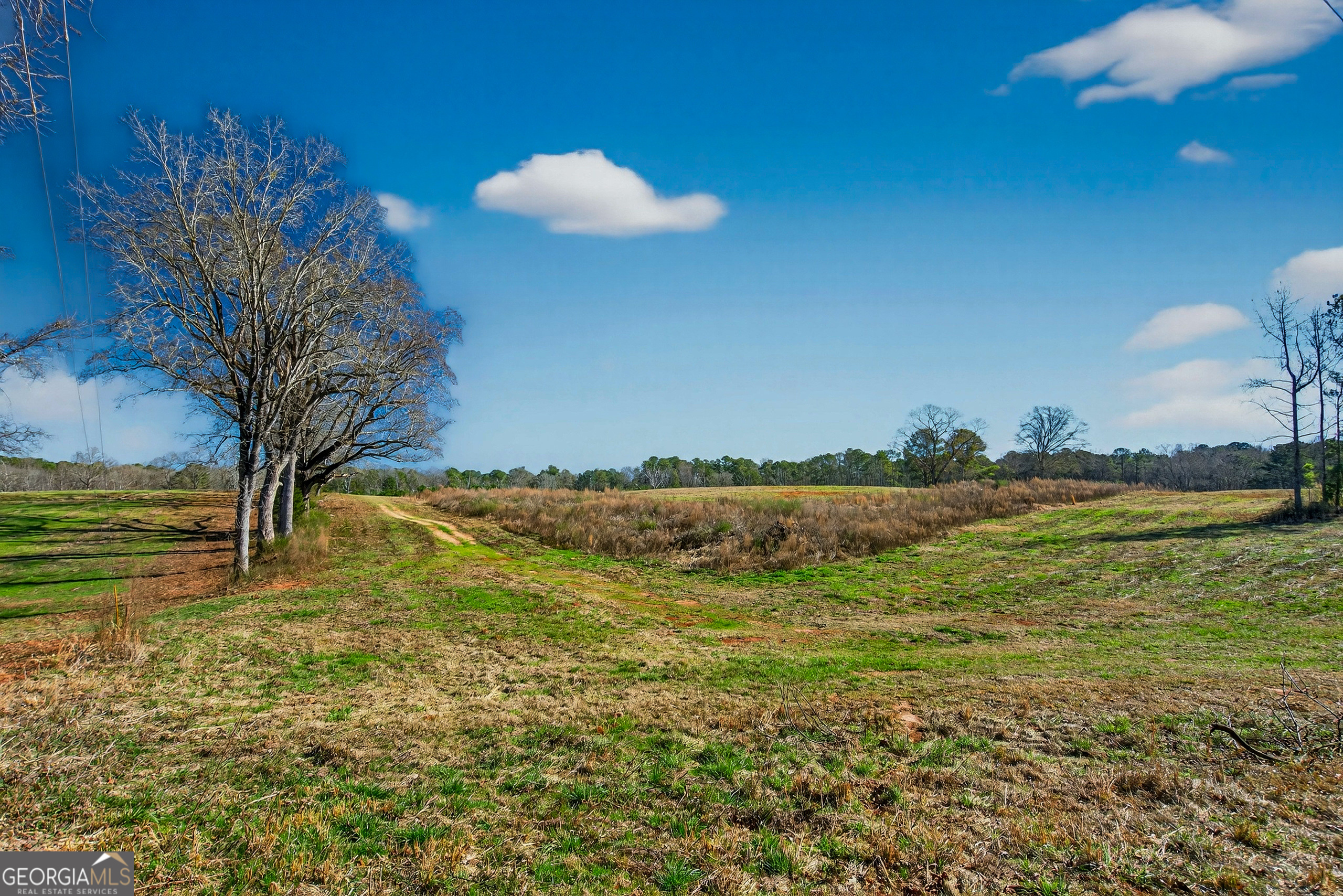 0 Glass Bridge Road LaGrange, GA 30240 - Photo 22 of 32 a view of an ocean and a mountain