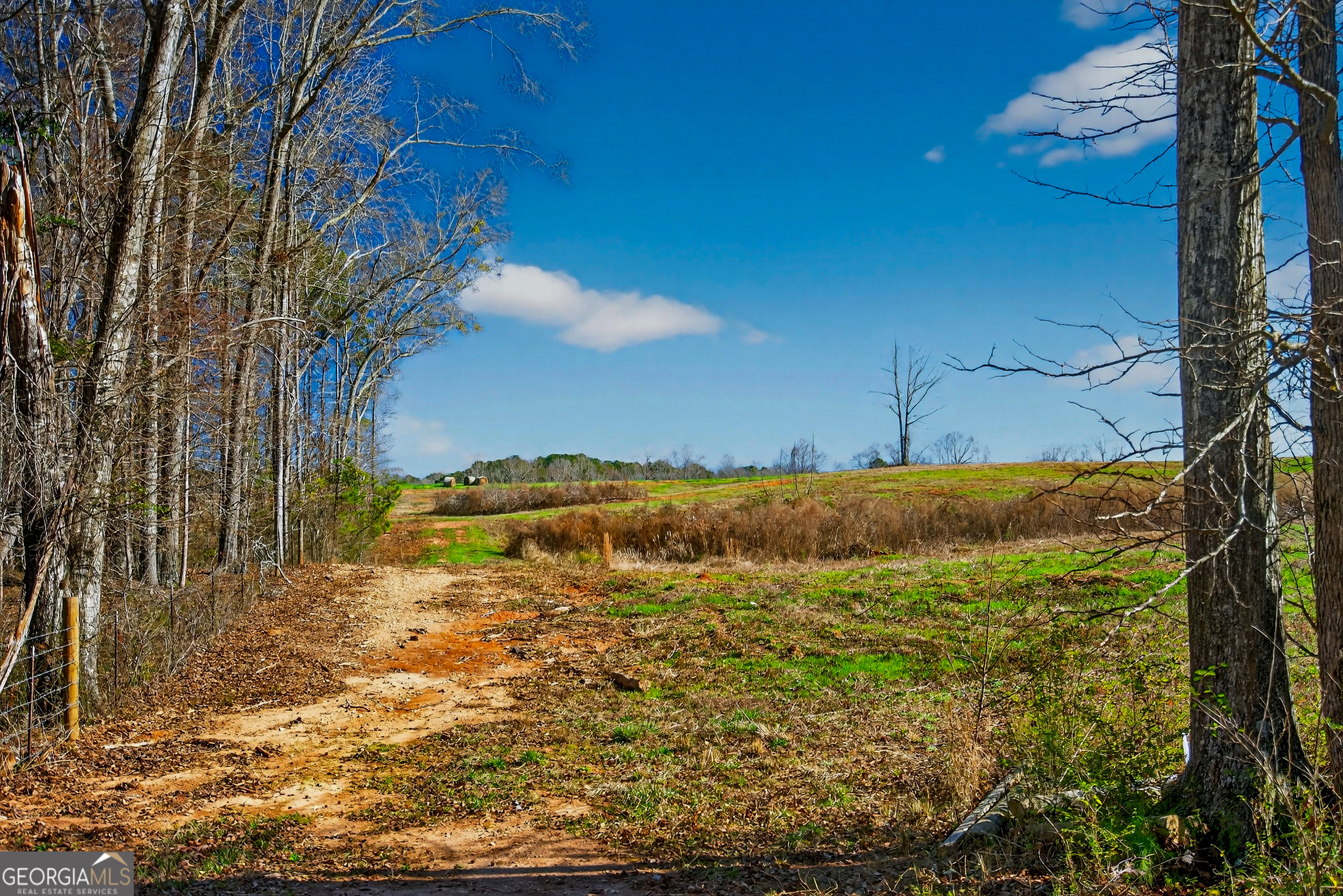 0 Glass Bridge Road LaGrange, GA 30240 - Photo 23 of 32 a view of a lake