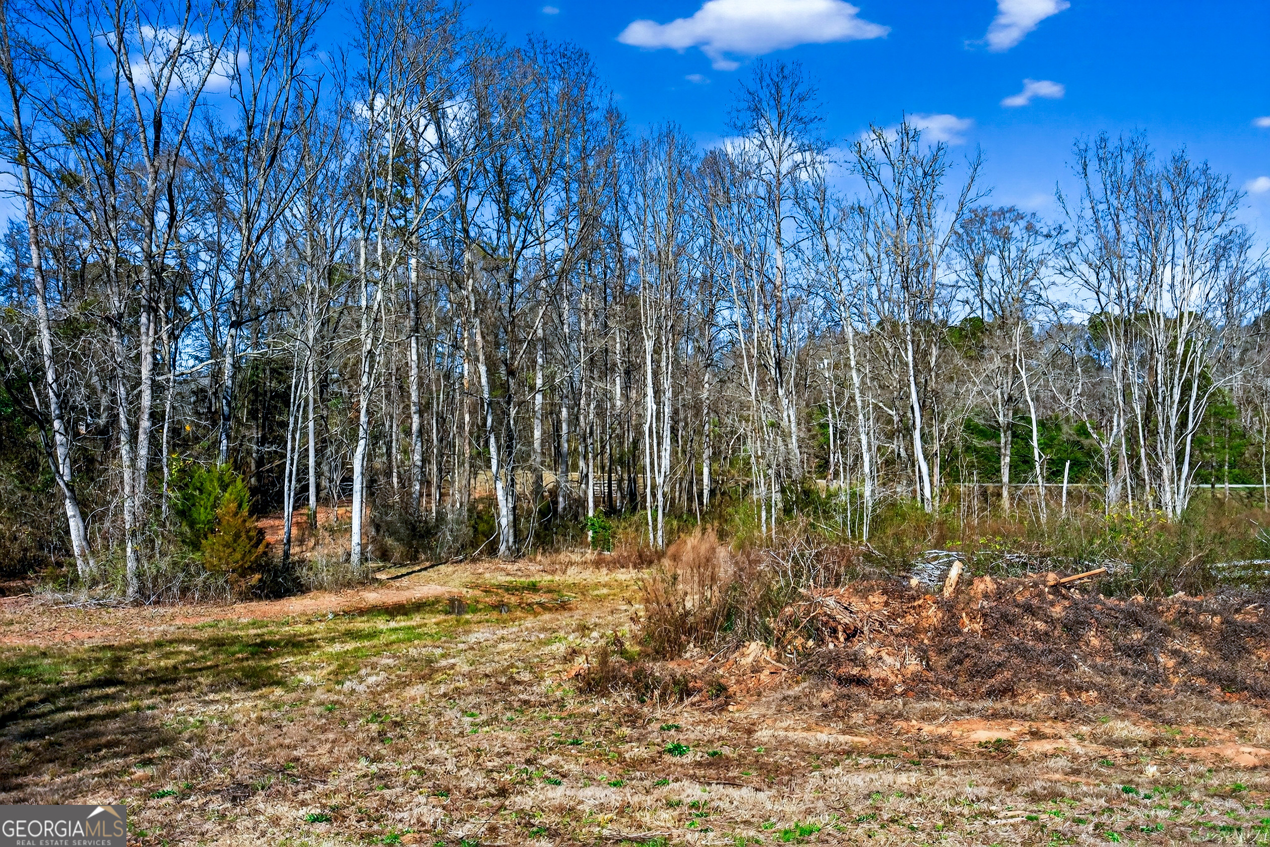 0 Glass Bridge Road LaGrange, GA 30240 - Photo 25 of 32 a backyard of a house with lots of green space