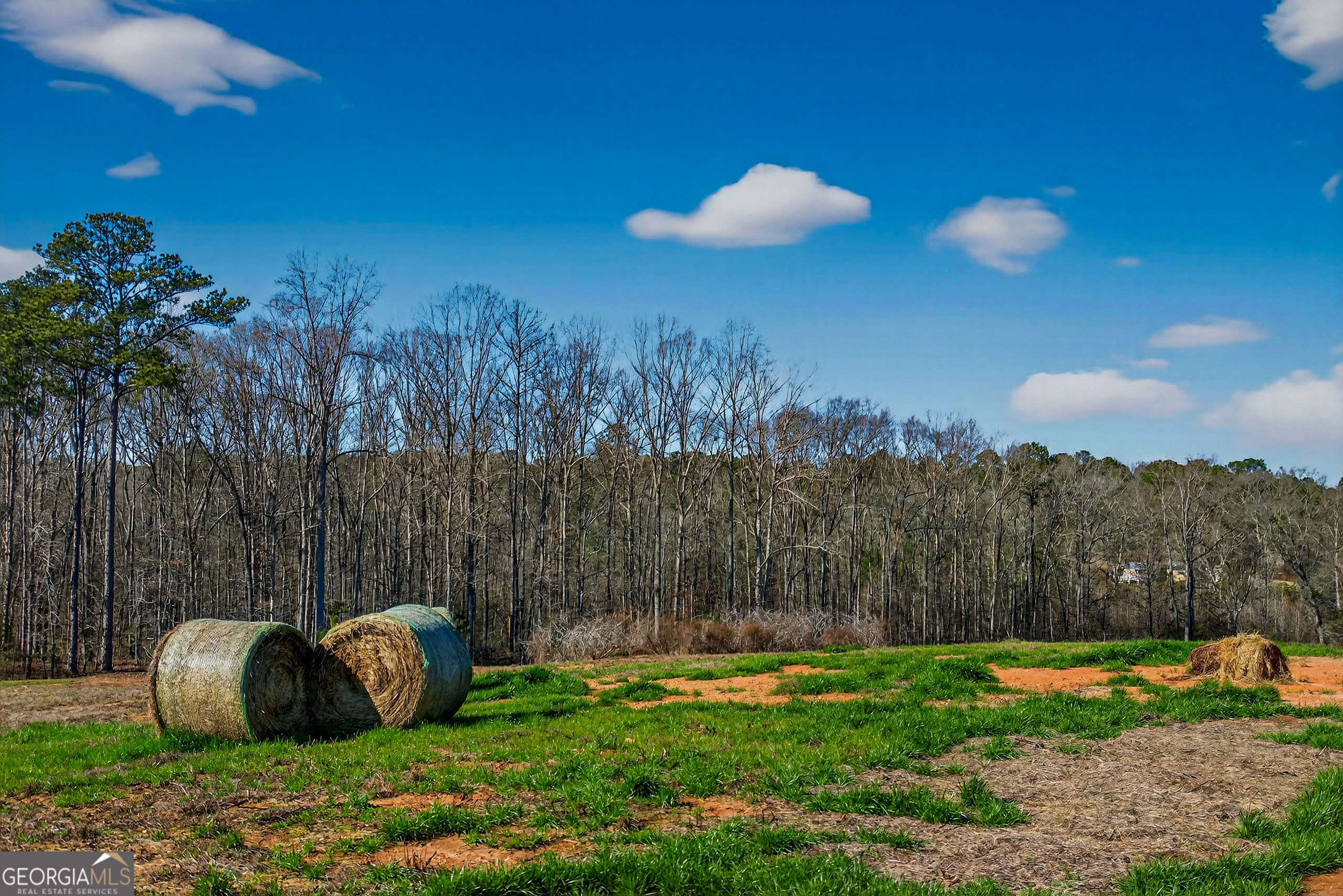 0 Glass Bridge Road LaGrange, GA 30240 - Photo 26 of 32 a view of a golf course with a swimming pool
