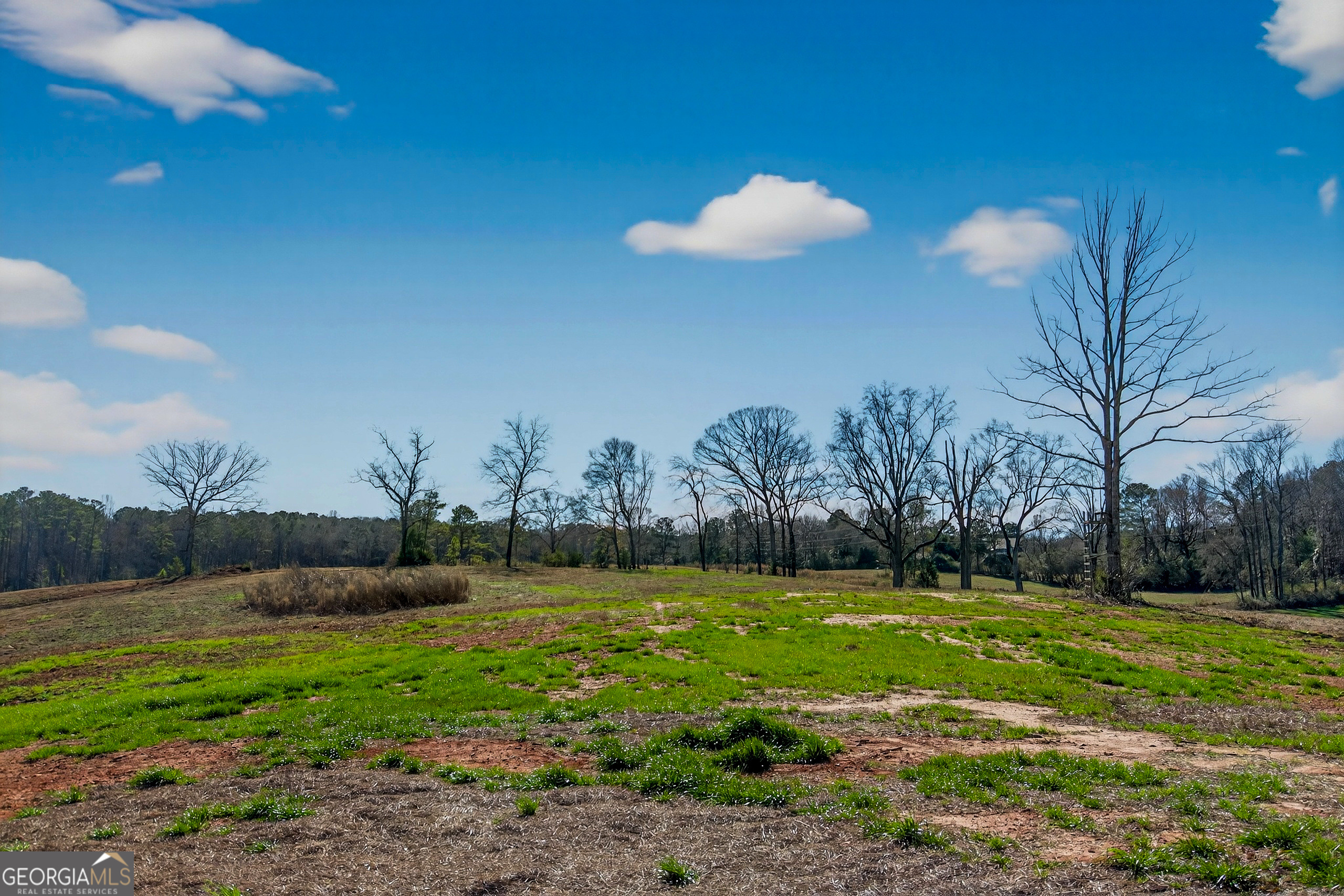 0 Glass Bridge Road LaGrange, GA 30240 - Photo 28 of 32 a view of a golf course