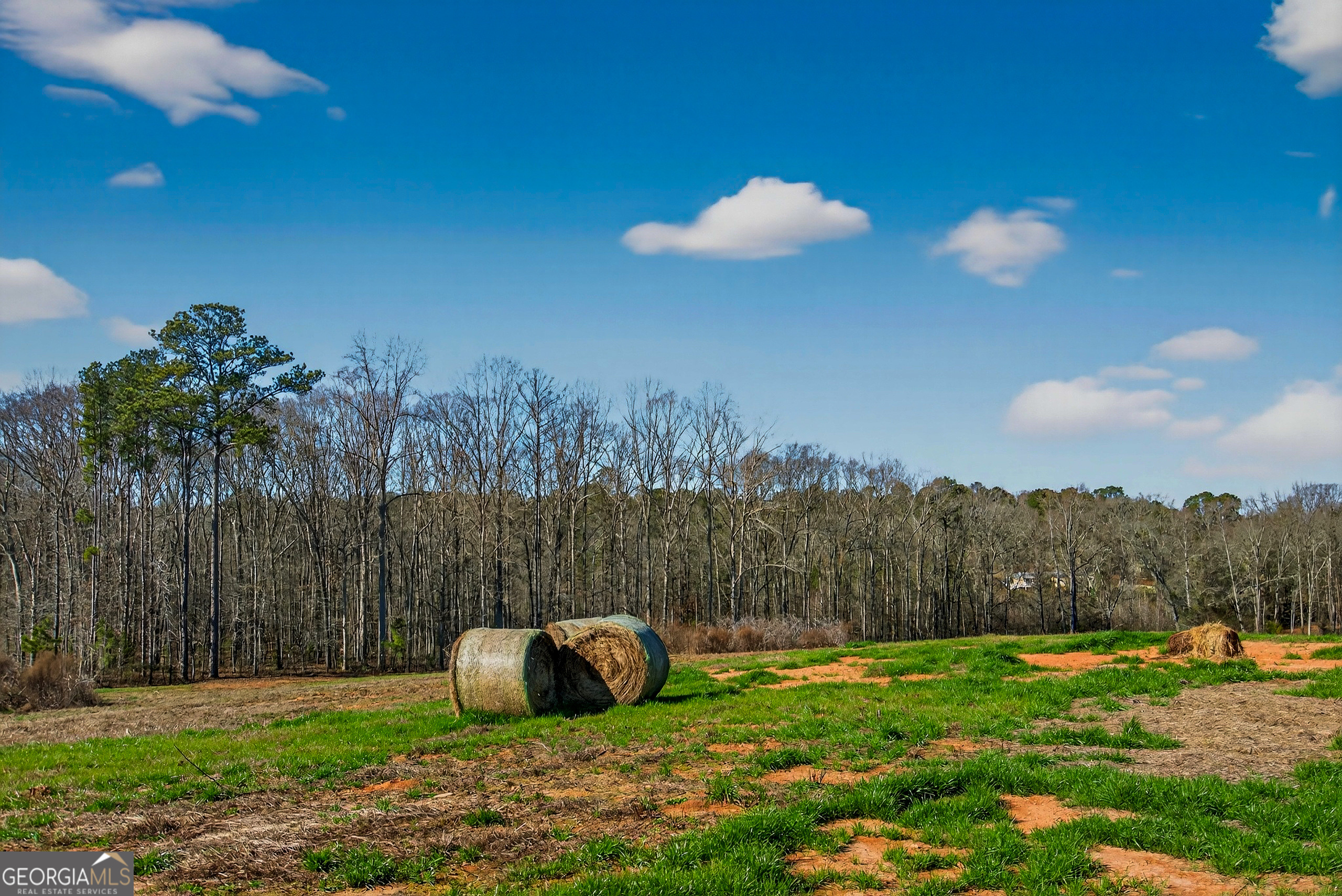0 Glass Bridge Road LaGrange, GA 30240 - Photo 29 of 32 a view of a garden
