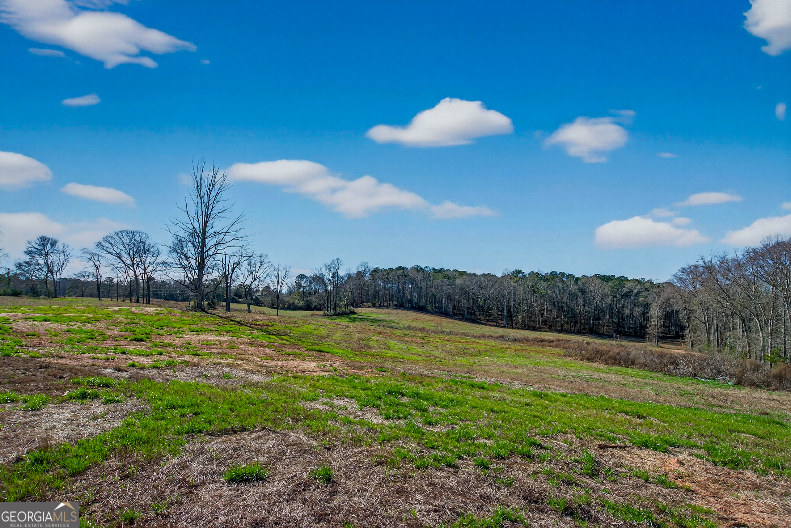 0 Glass Bridge Road LaGrange, GA 30240 - Photo 30 of 32 a view of a lake and a yard