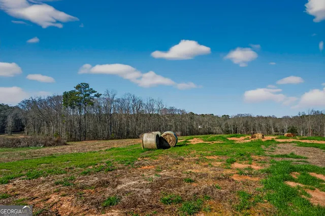 a view of a yard with a tree