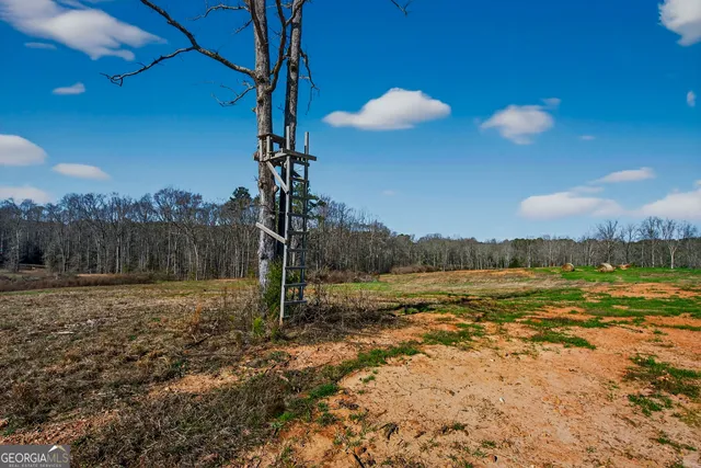 $420,000 | 0 Glass Bridge Road, LaGrange, GA 30240