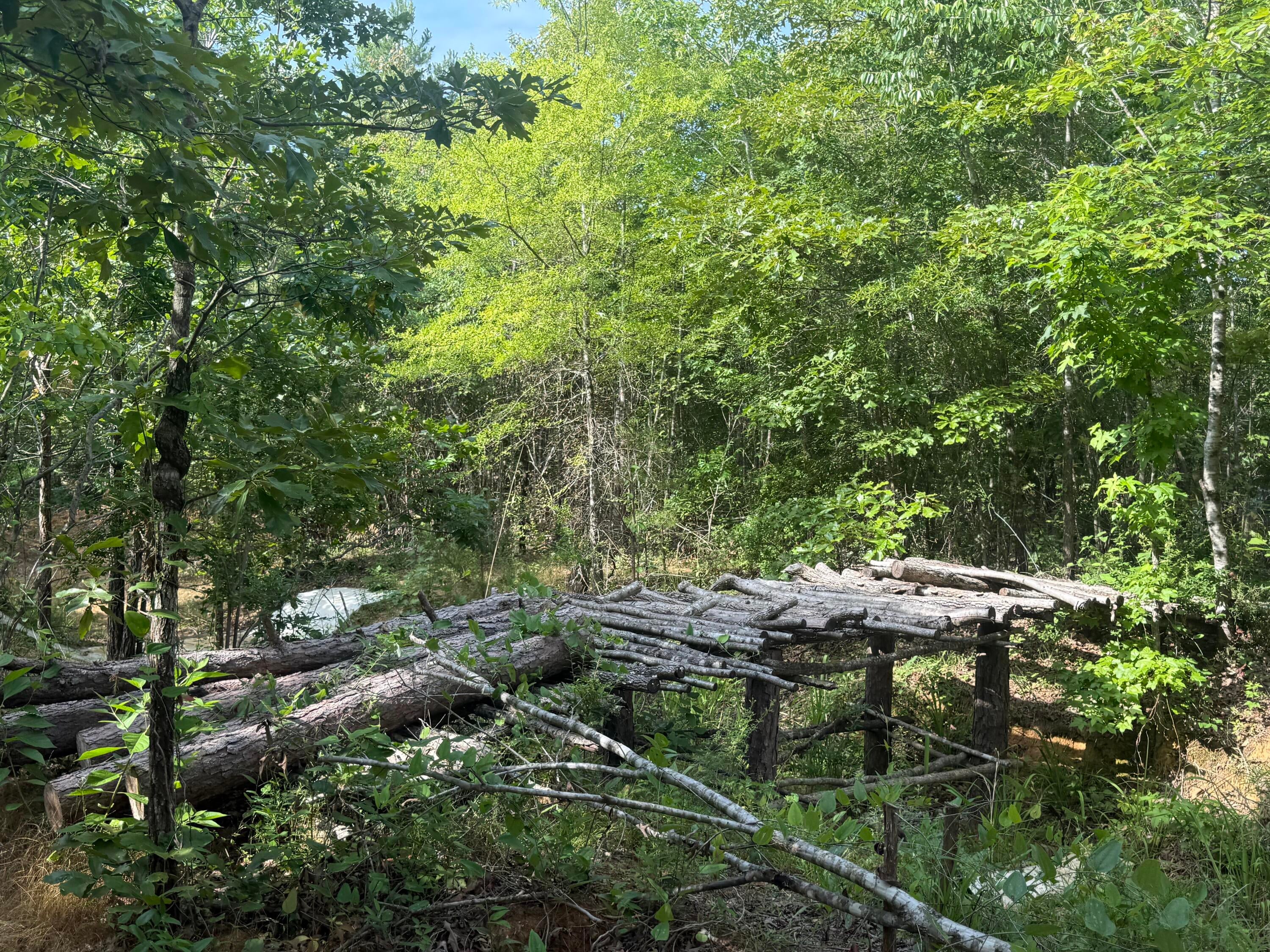 2275 Graham Road Thaxton, MS 38871 - Photo 13 of 17 Gallery Image 13