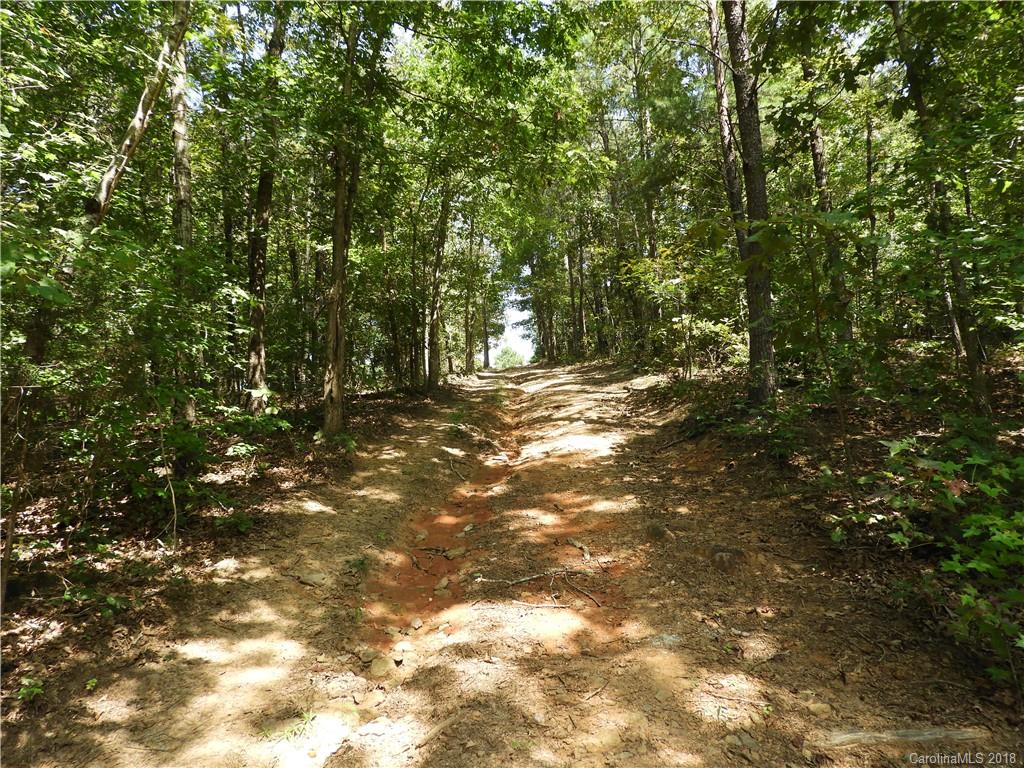 395 Hester Mill Road Rutherfordton, NC 28139 - Photo 20 of 27
