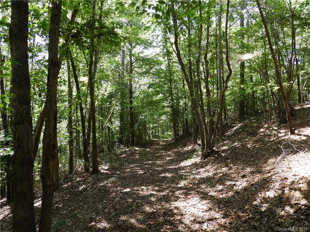 395 Hester Mill Road Rutherfordton, NC 28139 - Photo 21 of 27
