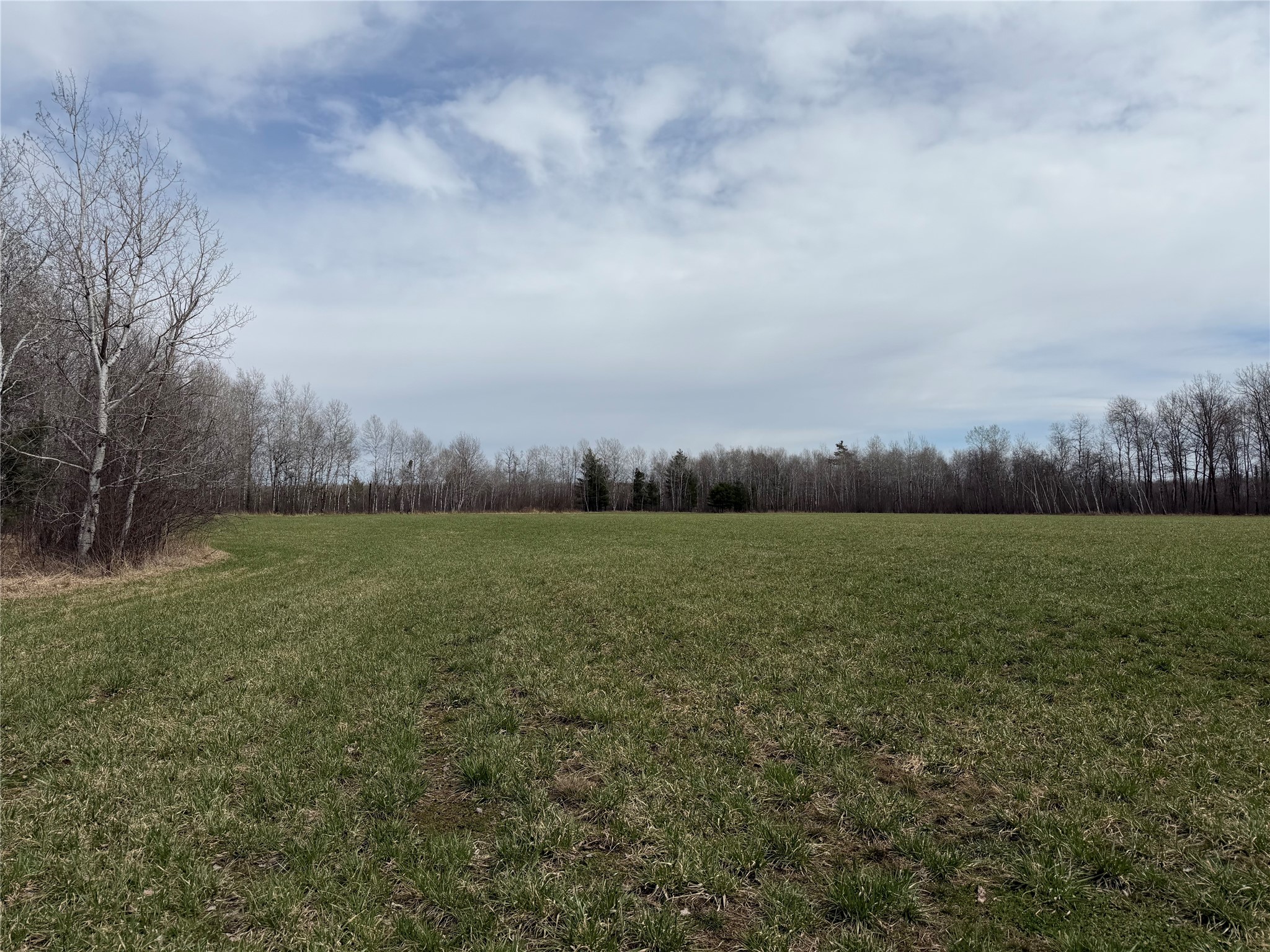 N4280 County Road East Bruce, WI 54819 - Photo 27 of 49