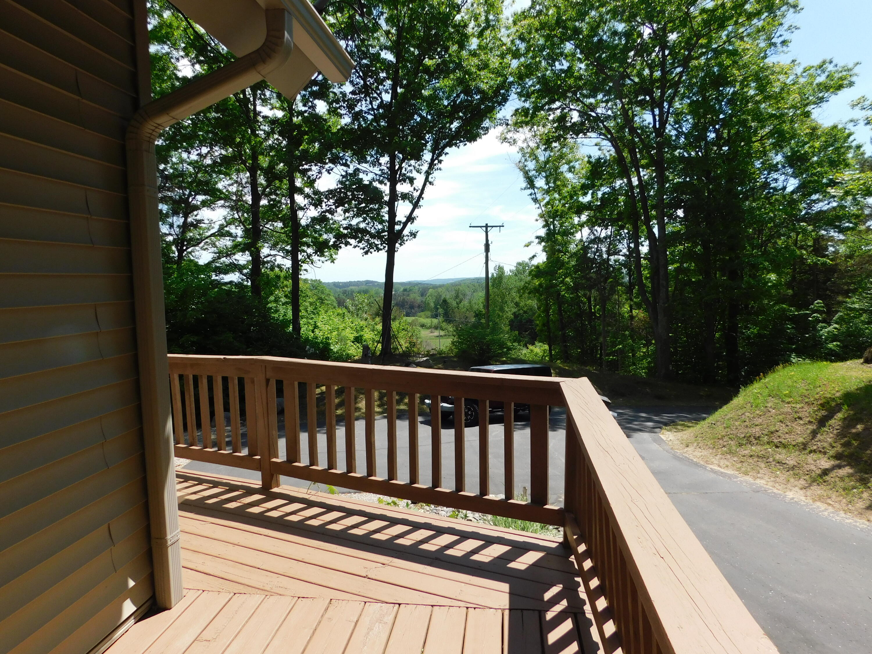 10653 Milarch Road Bear Lake, MI 49614 - Photo 19 of 86 DSCN2090