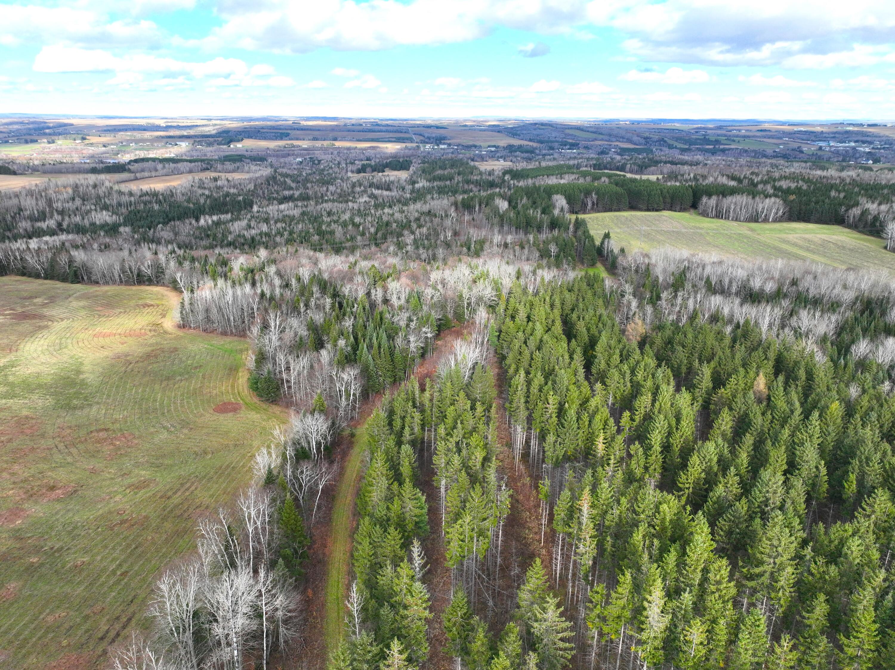 Map7-lot5 Hamlin Road Van Buren, ME 04785 - Photo 10 of 19 DJI_0852