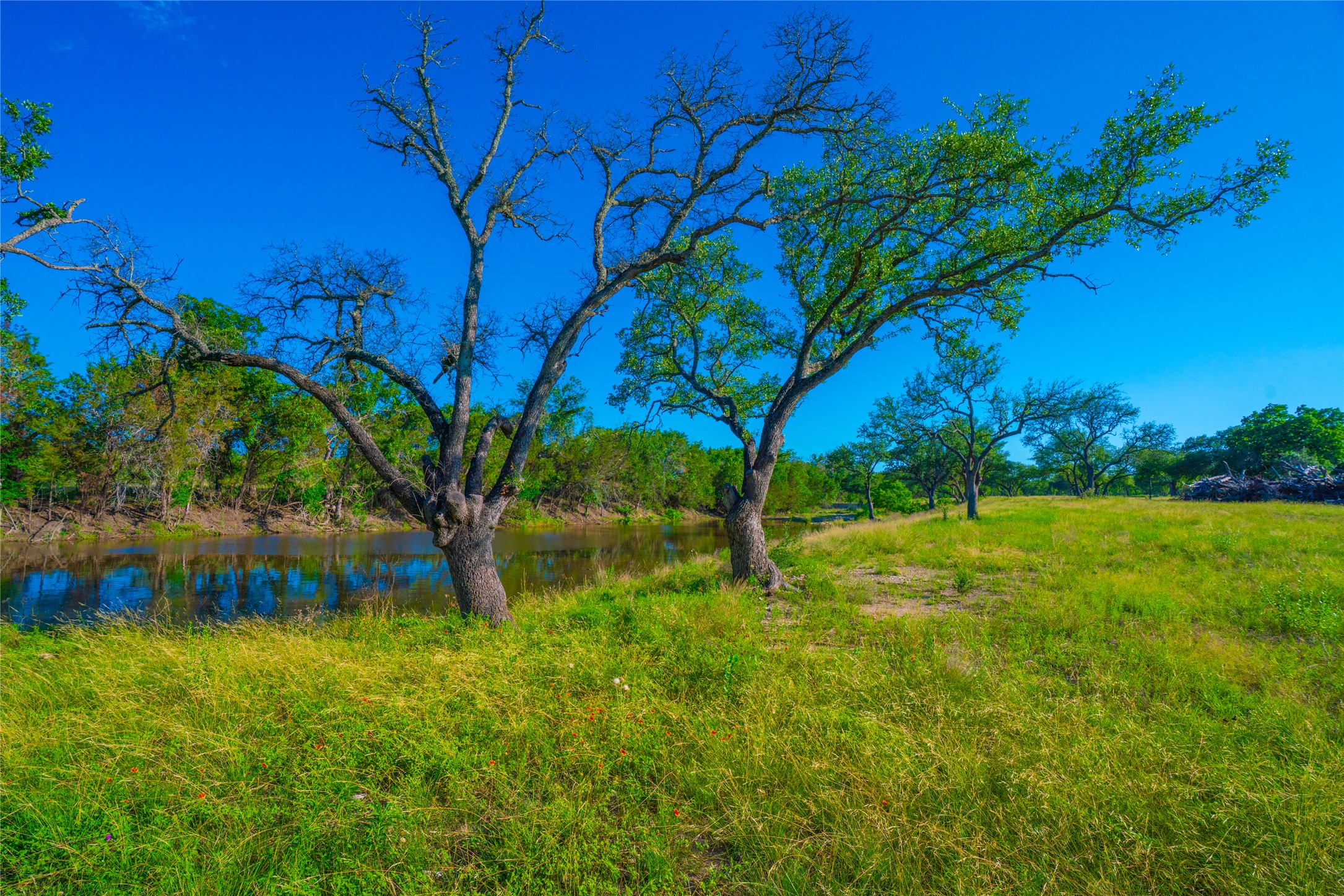 0 Creekside Ranch Johnson City, TX 78636 - Photo 7 of 14 A tranquil river meanders past a verdant meadow, framed by mature trees under an expansive blue sky.