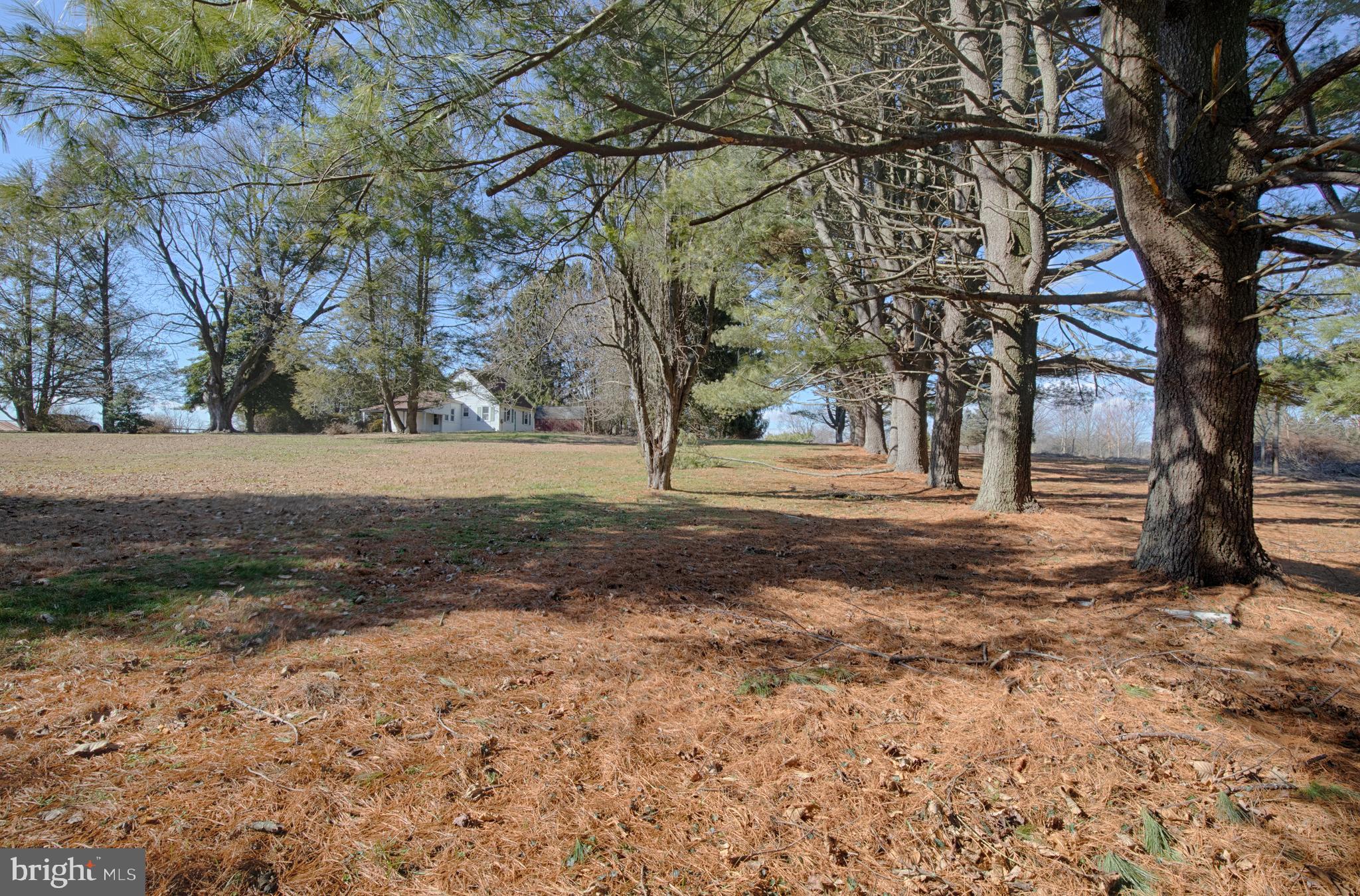 2833 Scarff Road Fallston, MD 21047 - Photo 20 of 24 Enjoy your beautiful view!