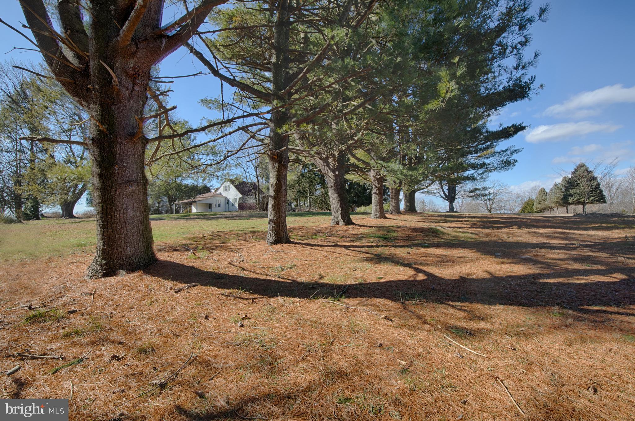 2833 Scarff Road Fallston, MD 21047 - Photo 21 of 24 Mature trees on property