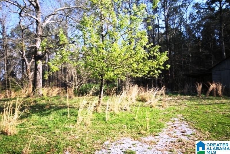 3590 Post Oak Road Jacksonville, AL 36265 - Photo 9 of 11