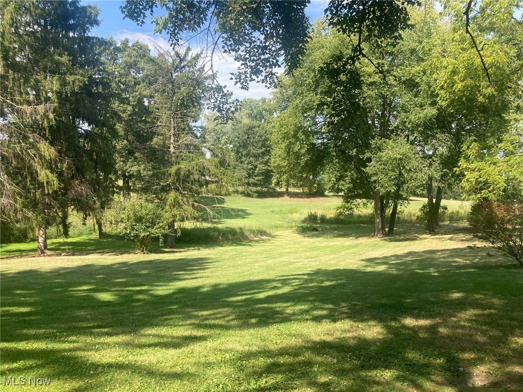 14225 Millersburg Road Southwest Navarre, OH 44662 - Photo 21 of 22 Picturesque view of side yard