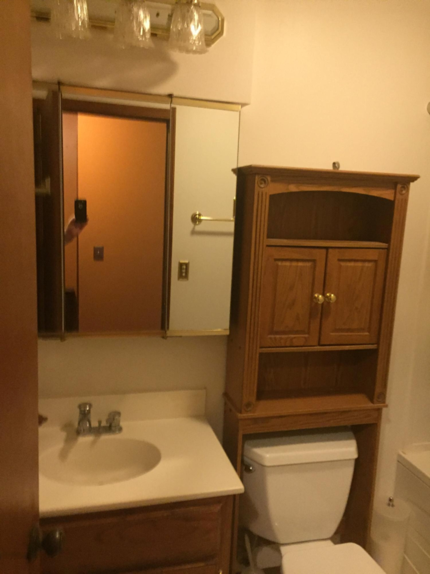 1229 Schavey Road Dewitt, MI 48820 - Photo 16 of 22 085